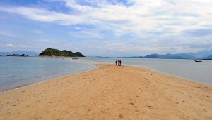 dao-diep-son-daphong365