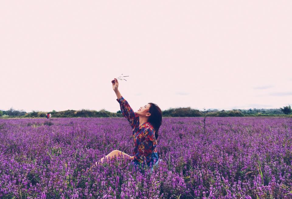 Giới trẻ đổ xô ‘check-in’ cánh đồng hoa tím biếc ở Đắk Lắk
